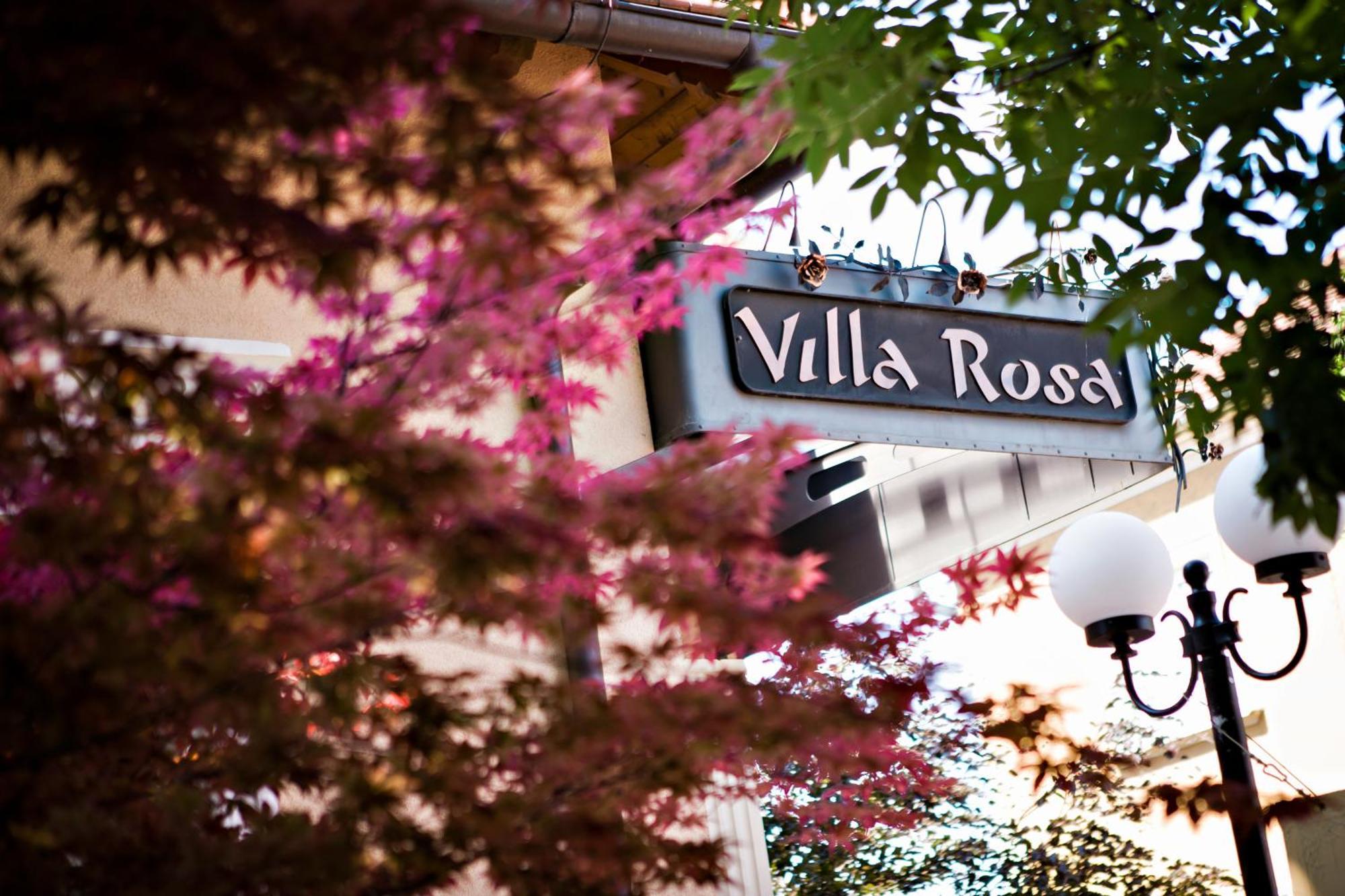 Villa Rosa Dunajska Streda Exterior photo