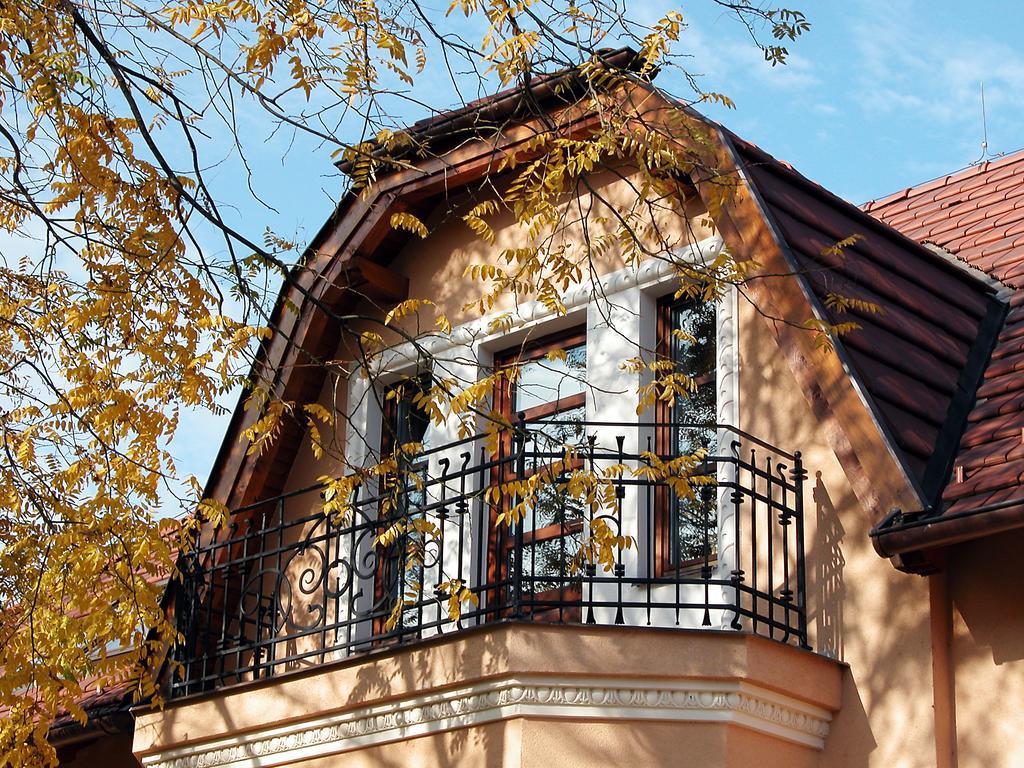 Villa Rosa Dunajska Streda Exterior photo